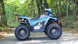 Tao Motor Shark 125 - 2