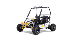 tao-motor-go-kart-trition-125_11