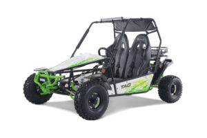 TAO_Motors_BajaSport_200_driver3Q-scaled