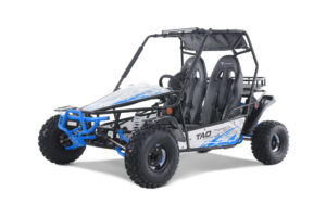 TAO_Motors_BajaSport_200_driver3Q_blue-scaled