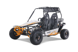 TAO_Motors_BajaSport_200_driver3Q_orange-scaled